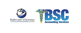 Img Accounting Balvant Cheema Logo