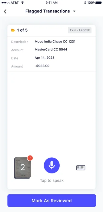 Flagged Transactions Image